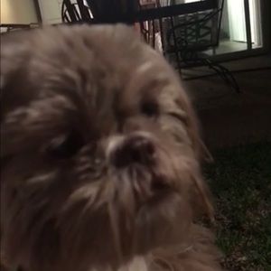 Meet your Posher, Karen